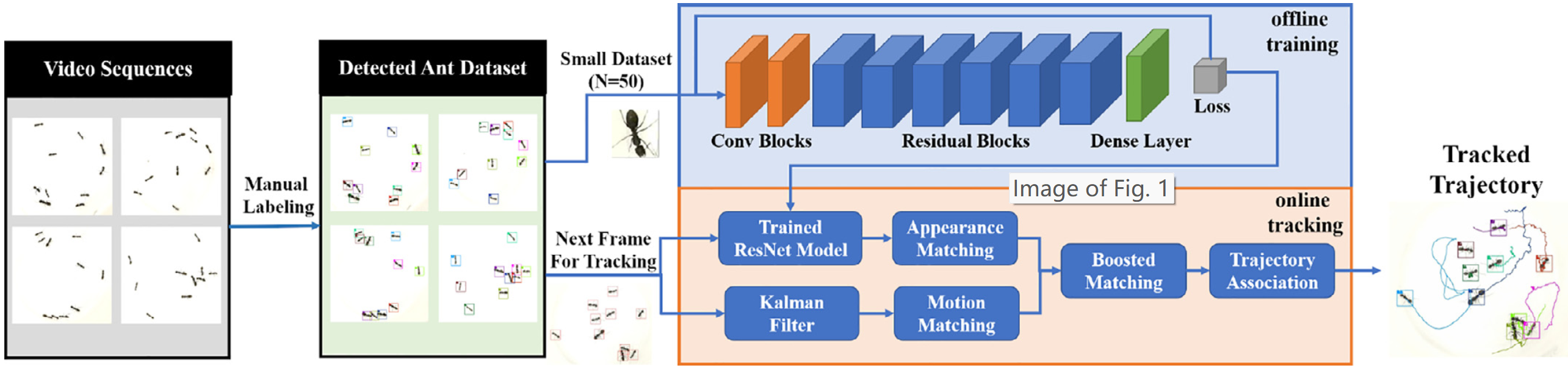 Online tracking of ants based on deep association metrics: method, dataset and evaluation